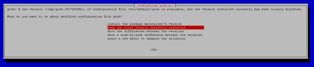 The selection of GRUB installation configuration.